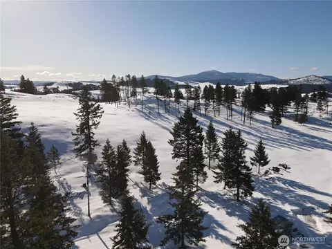 100 S Tbd S Teal Lake Rd, Oroville, WA 98844