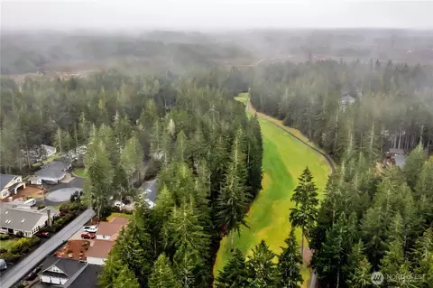 View/Area - 701 E Vine Maple Ln, Union, WA 98592 photo 1 of 3