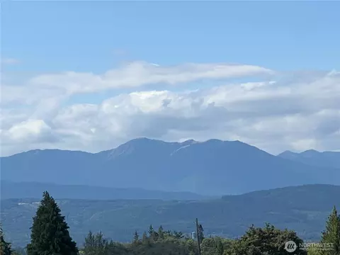 Other - 85 Olympic Vis, Sequim, WA 98382 photo 4 of 10