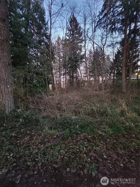 14308 Yelm Ave SE, Yelm, WA 98597