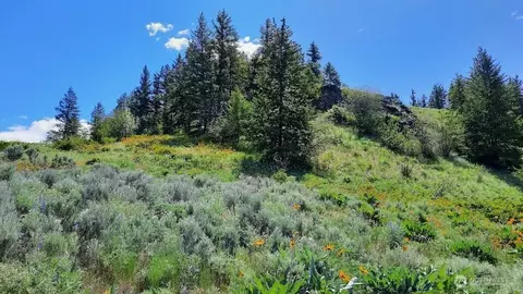 0 Tbd Windmill Mtn, Oroville, WA 98844