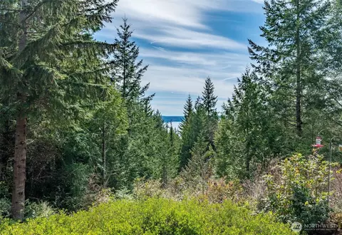 View/Area - 712 Jupiter Loop Rd, Brinnon, WA 98320 photo 3 of 4