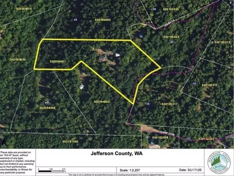 Other - 712 Jupiter Loop Rd, Brinnon, WA 98320 photo 12 of 12