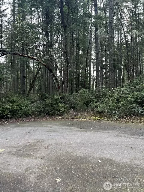8811 127th Avenue Ct, Anderson Island, WA 98303