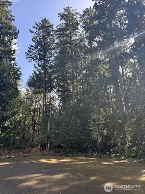 12502 93rd Street Ct, Anderson Island, WA 98303