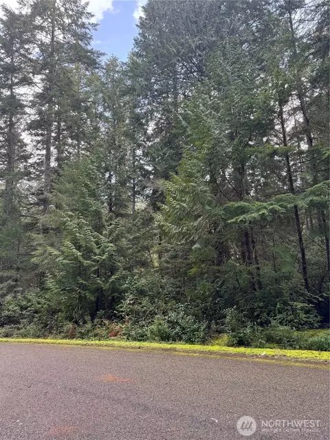 11022 Admiralty Way, Anderson Island, WA 98303