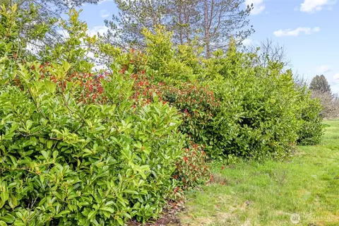 817 N Kendall Rd, Sequim, WA 98382 photo 18