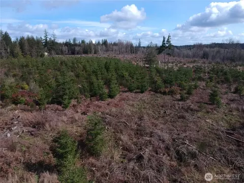 874 E Daniels Rd, Shelton, WA 98584