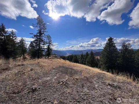 0 Lot 165 Stacy Rd, Republic, WA 99166