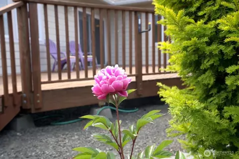 Exterior - 230 Choice Loop, Sequim, WA 98382 photo 7 of 7