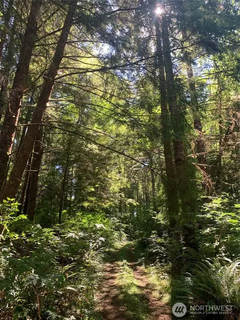 285 Parpala Rd, Naselle, WA 98638
