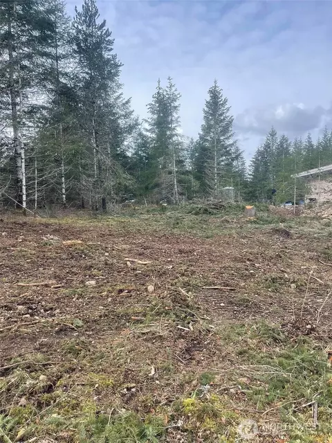 0 Island Lake Dr, Shelton, WA 98584