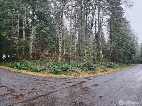 56519 380 Avenue Ct E, Ashford, WA 98304