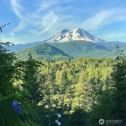 107 Emmons Dr, Mineral, WA 98355