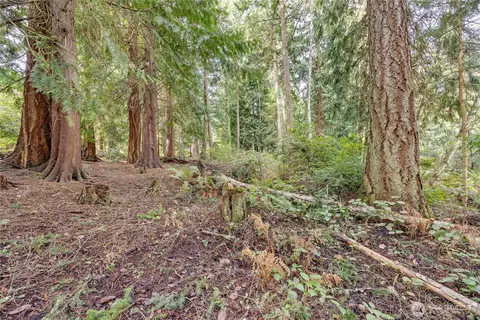 225 Belvedere Dr, Port Townsend, WA 98368