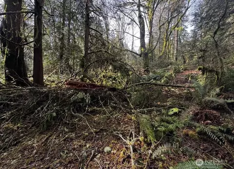 0 Nn Quail Trail Ln, Poulsbo, WA 98370