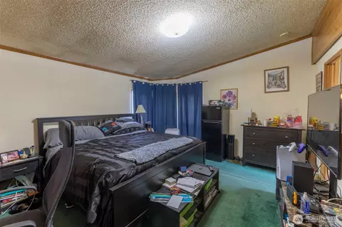 22903 195th St E, Orting, WA 98360 photo 17