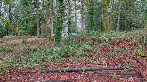 229 SE Nn Se 312th St, Black Diamond, WA 98010