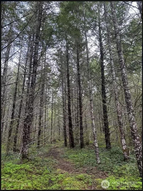 7300 Kalama River Rd, Kalama, WA 98625