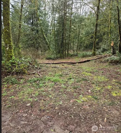 13160 Shady Glen Ave SE, Olalla, WA 98359