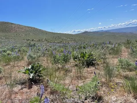 0 Lot 59 Bill Shaw Rd, Pateros, WA 98834