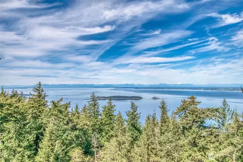 3647 Buck Mountain Rd, Eastsound, WA 98245 photo 4