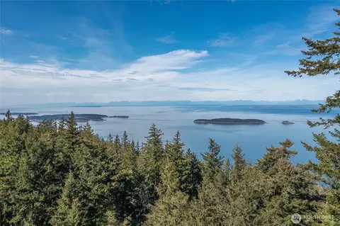 3647 Buck Mountain Rd, Eastsound, WA 98245 photo 39