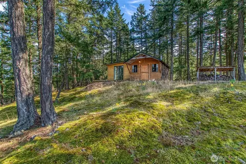 3647 Buck Mountain Rd, Eastsound, WA 98245 photo 29