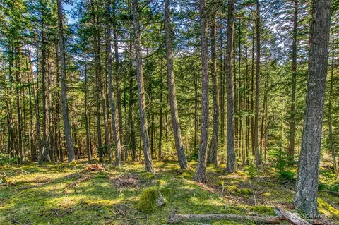 3647 Buck Mountain Rd, Eastsound, WA 98245 photo 37