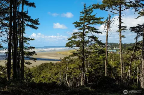 90 Koala Ln, Pacific Beach, WA 98571
