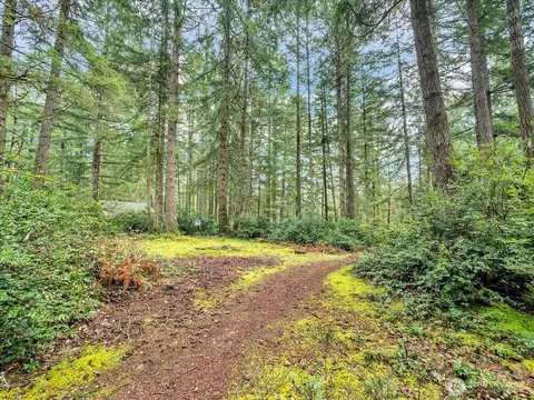 1610 E St Andrews Dr N, Shelton, WA 98584