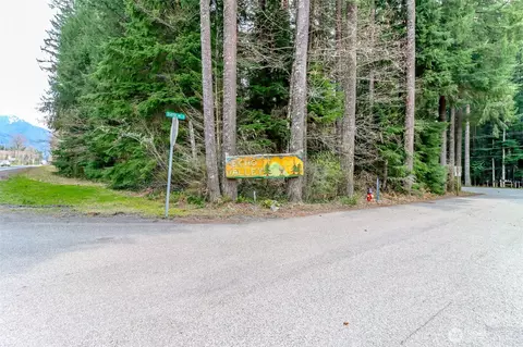 55315 315th Ave E, Ashford, WA 98304
