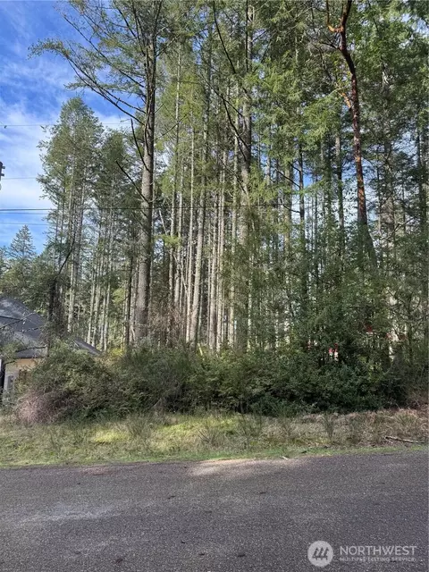 12021 Sunset Pl, Anderson Island, WA 98303