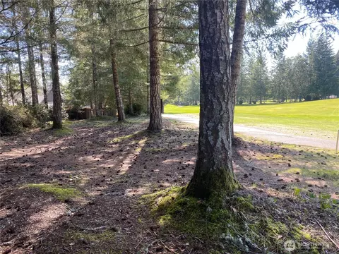 200 E Soderberg Rd, Allyn, WA 98524 photo 7