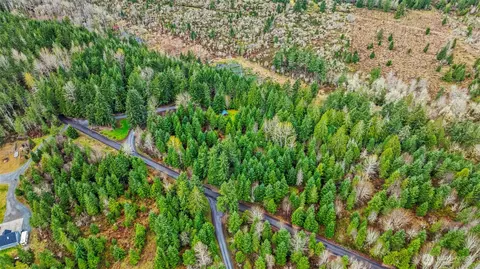 123 Highland Dr E, Roy, WA 98580 photo 11