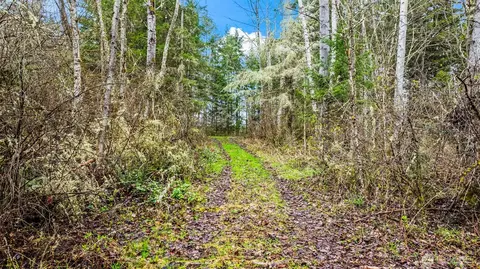 123 Highland Dr E, Roy, WA 98580 photo 6