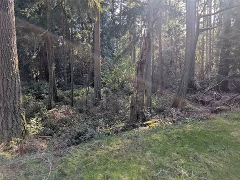 10325 Totem Way, Anderson Island, WA 98303