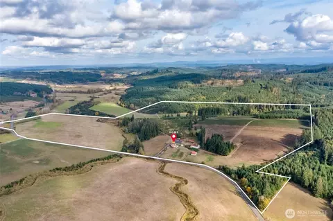 1827 Lincoln Creek Rd, Rochester, WA 98579