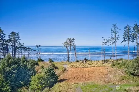 58 Chauncey Ln, Pacific Beach, WA 98571