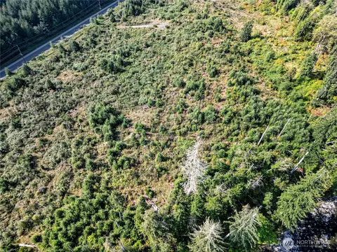 203503 Hwy 101, Beaver, WA 98305 photo 39