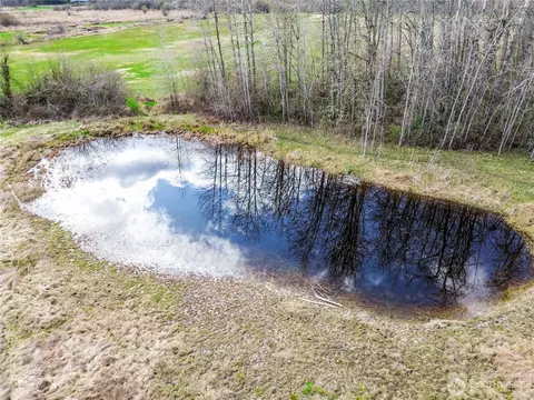 View/Area - 920 336th St E, Roy, WA 98580 photo 6 of 6