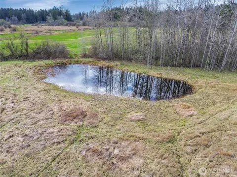View/Area - 920 336th St E, Roy, WA 98580 photo 3 of 6