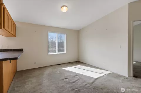Other - 920 336th St E, Roy, WA 98580 photo 6 of 8
