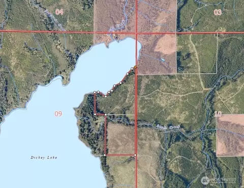 9999 Dickey Lk, Forks, WA 98331