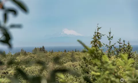 View/Area - 533 Brigadoon Blvd, Sequim, WA 98382 photo 3 of 4