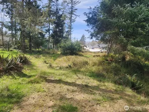 661 Sollecks Ave SE, Ocean Shores, WA 98569