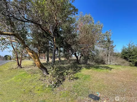 140 Brittany Ln, Sequim, WA 98382 photo 27