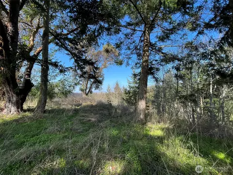 140 Brittany Ln, Sequim, WA 98382 photo 18