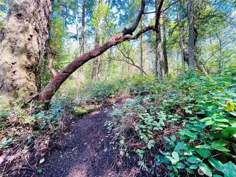 0 Madrona Dr, Friday Harbor, WA 98250