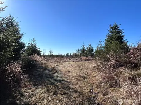 0 Nka Salmon Creek Rd, Toledo, WA 98591